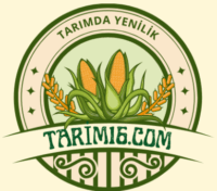 Tarımda Yenilik